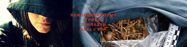 крисы Белокуриха