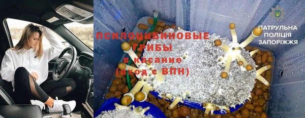 крисы Белокуриха